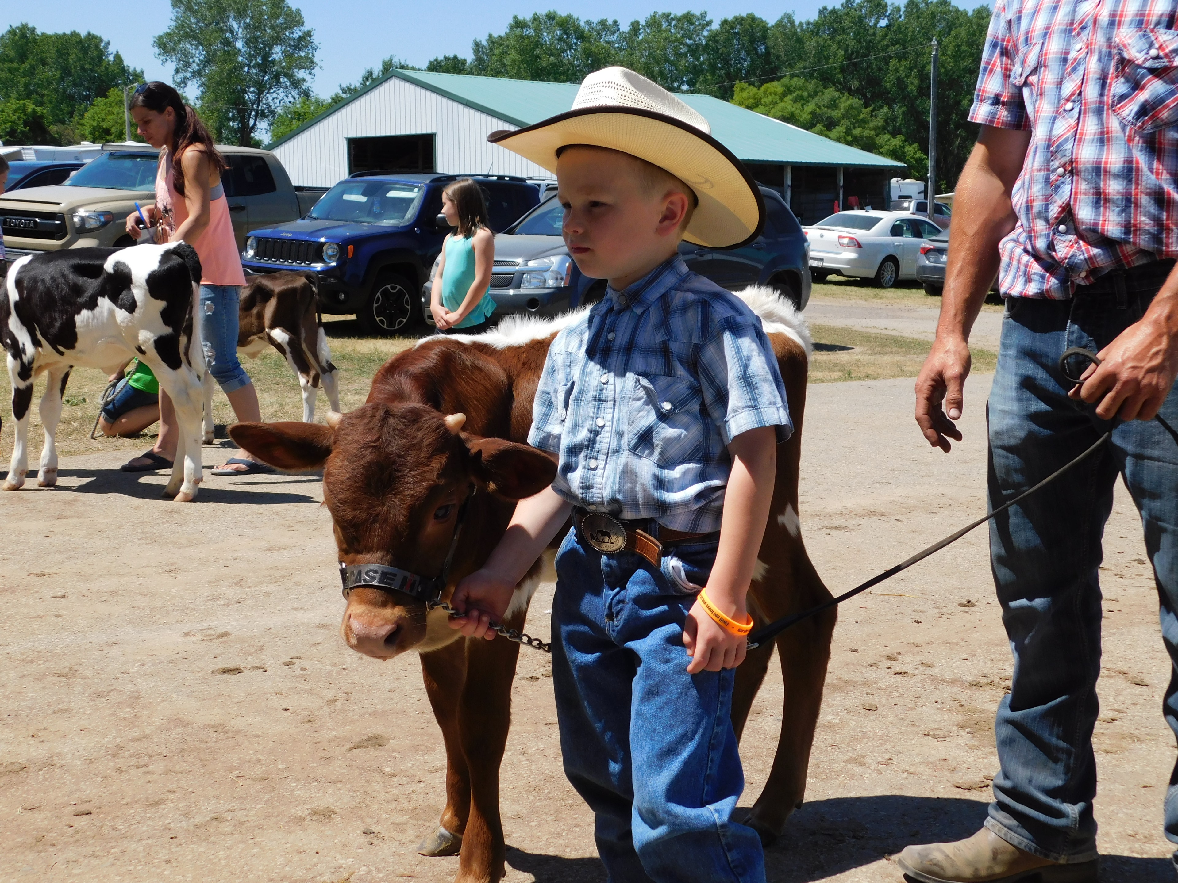 Young boy in cowboy hat leading a calf at the Mighty Mites Showmanship event, Marquette County Fair