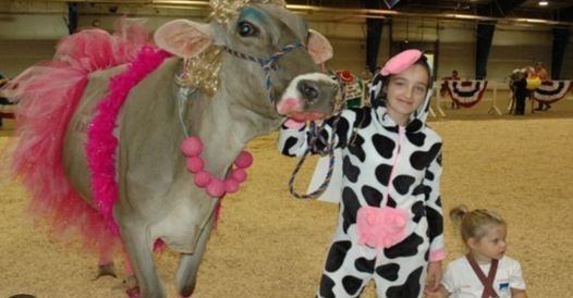 Exhibitor and animal in costume at the Marquette County Fair Critter Costume Contest
