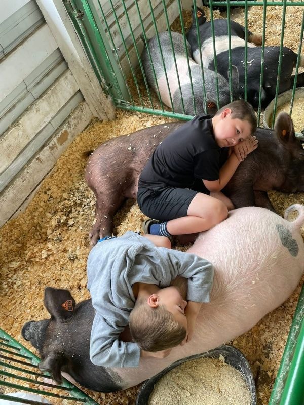 Young exhibitors relaxing with their show pigs in the livestock barn at the Marquette County Fair