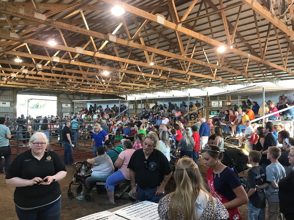 Youth meat animal auction at the Marquette County Fair – record-breaking bids